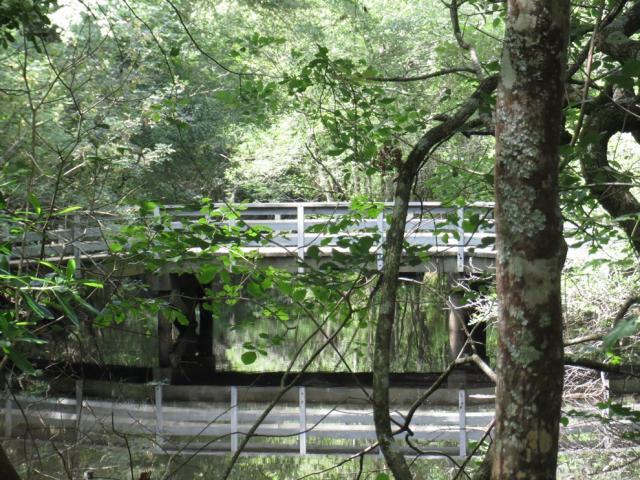 The Battle of Moore's Creek Bridge.
