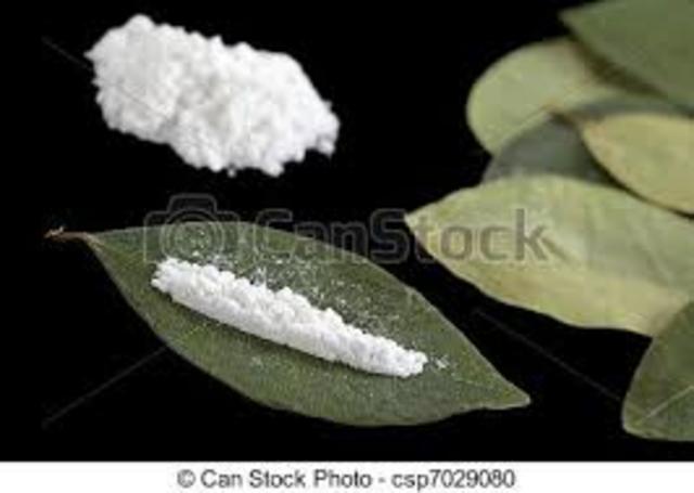 Polvo de cocaína