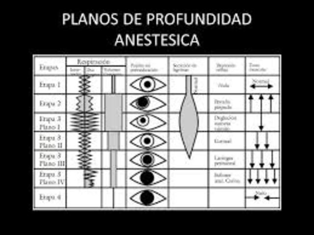 Planos anestésicos