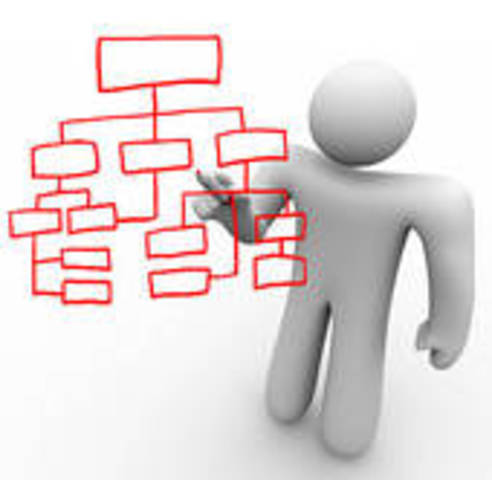 Organizational Environment Theory