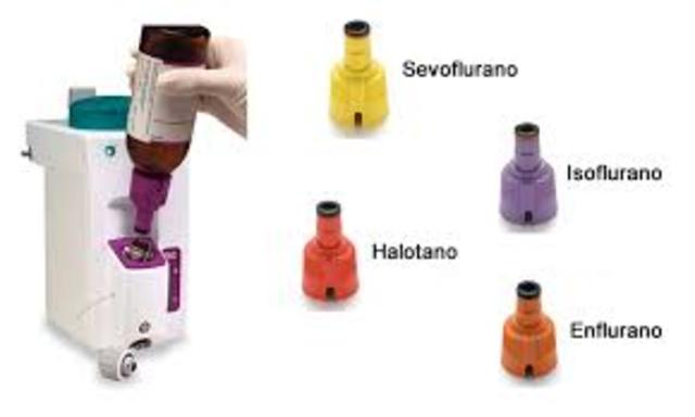 Suckling desarrolla el halothane.