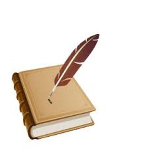 institucionalizacion de la  seguridad