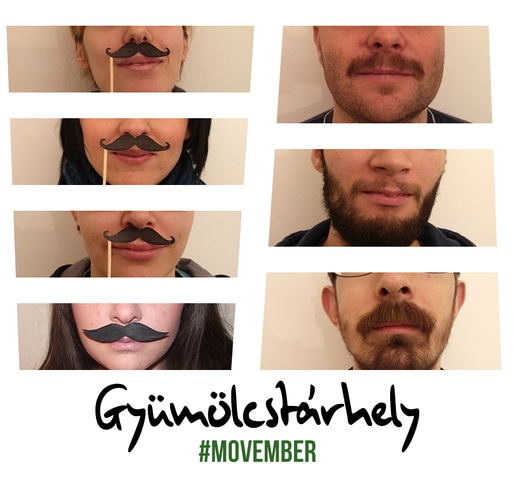 Gyümölcstárhely Movember
