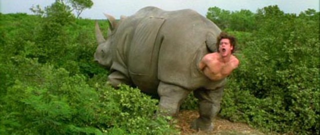 Y así llegué al mundo.