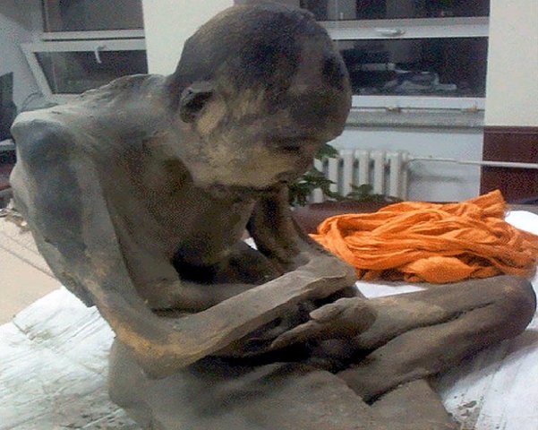Mummified 200-year-old monk 'NOT dead' but in 'very deep meditation'
