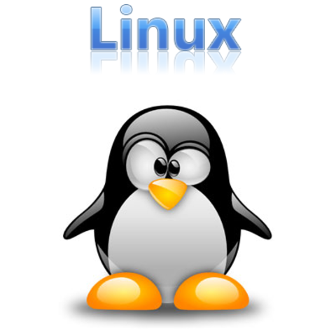 Linus Torvalds Creates Linux