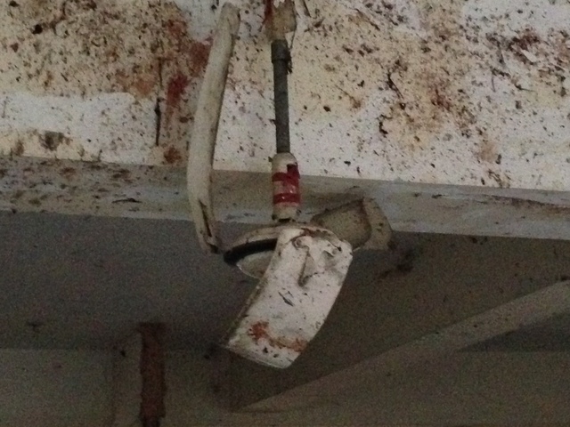 Islamabad Court Attack