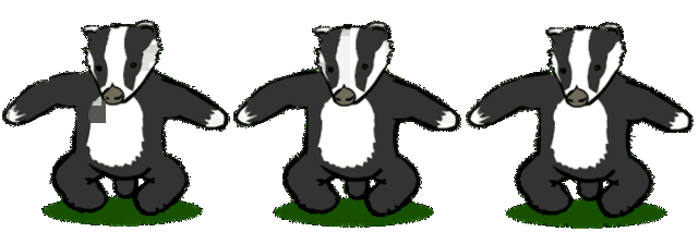 Badger Dance