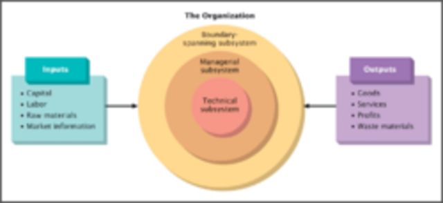 The Open System View