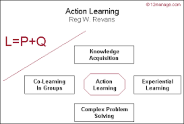 Action Learning