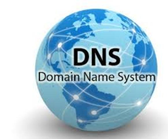 DNS is Established