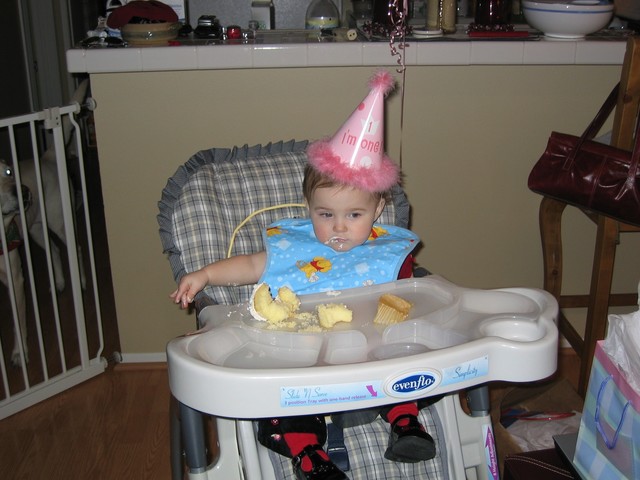 Madison's 1st Birthday