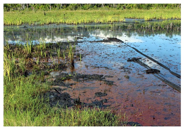 Osinergmin sanciona a Pluspetrol Norte