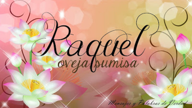 Mi bienvenida al barrio.