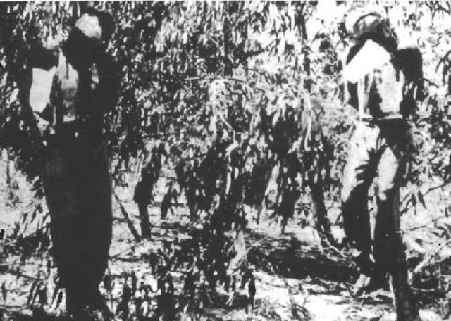 חטיפת הסרג'נטים