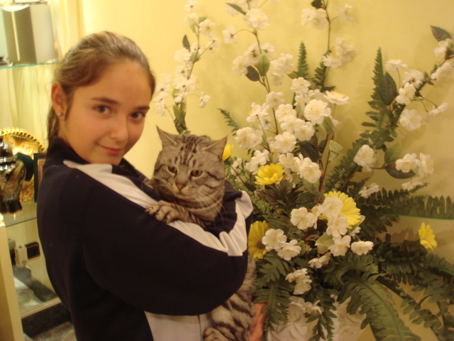 Muerte de mi gato Rayitas