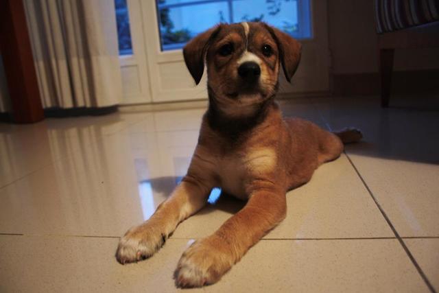 Nuevo miembro en la familia