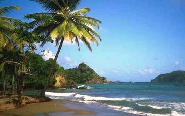 Третья экспедиция Колумба