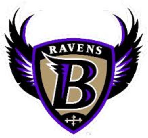 Ravens win the Super Bowl
