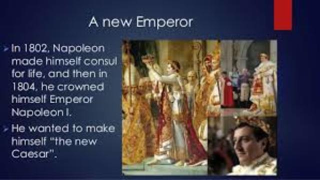 Napoleon made consul for life
