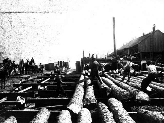 Highland Scots Arrivre