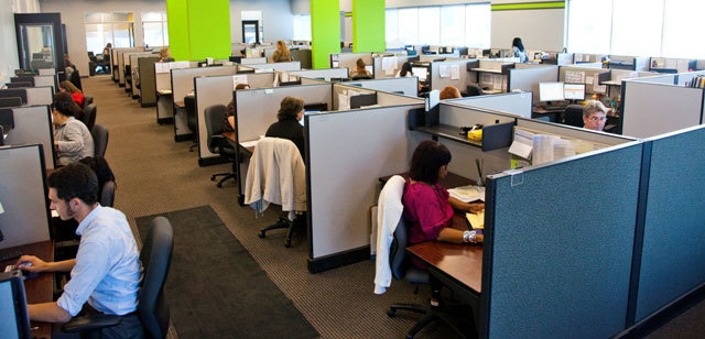 Learn about primavera