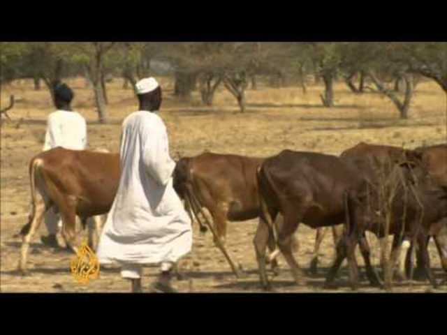 Sudanese government gives nomadic tribes the job to resolve the conflict.