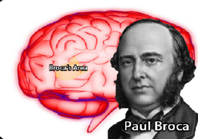 PAUL BROCA