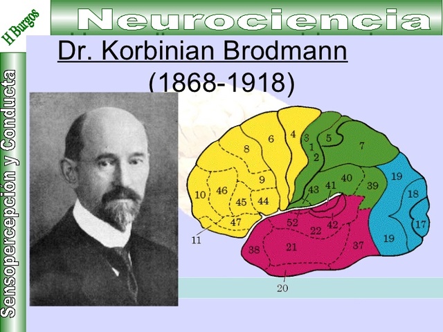 KORBINIAN BRODMANN