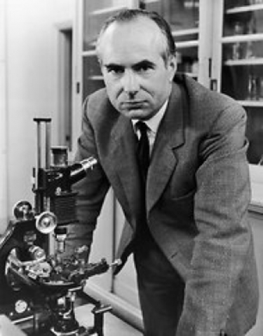 SIR JOHN CAREW ECCLES