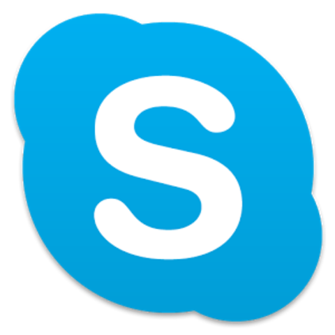 Skype debuts