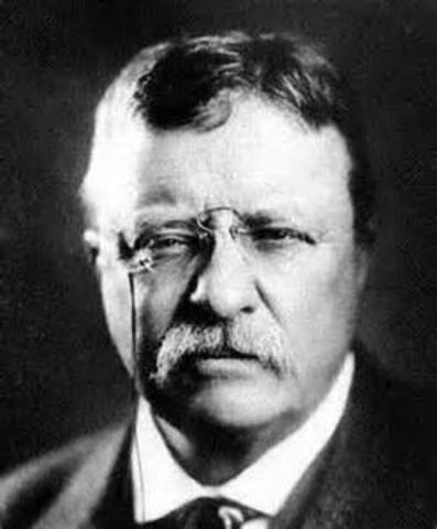 "Roosevelt Panic"(PAnic of 1907)