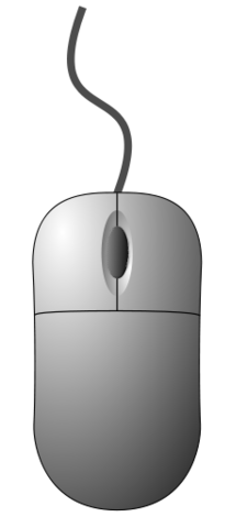 Computer Mouse