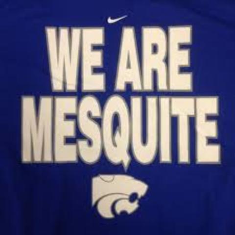 Now I am a junior at Mesquite