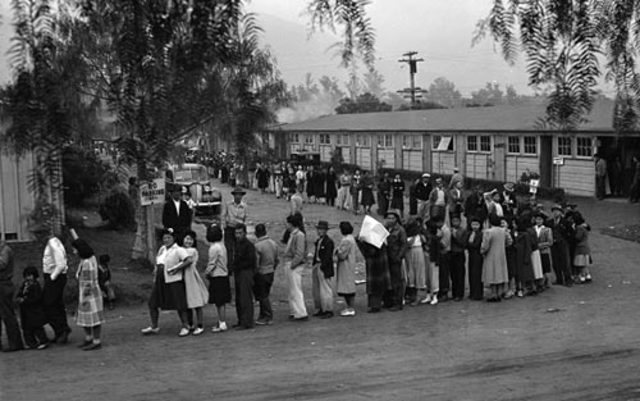 Japanese American Internment Camps
