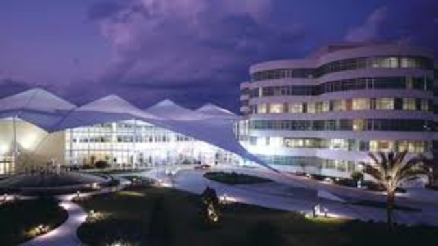 Baby Brother is Born