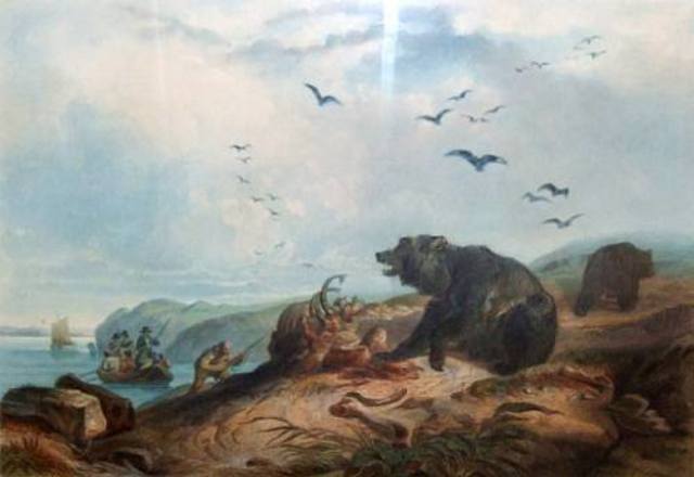 A spot were an animal profoundly affected the expedition