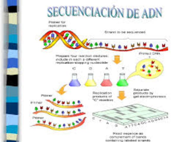 La primera secuenciación del ADN