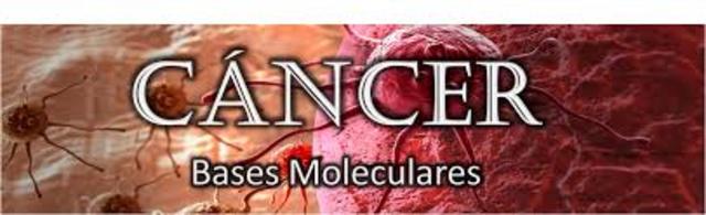 Oncogenes humanos