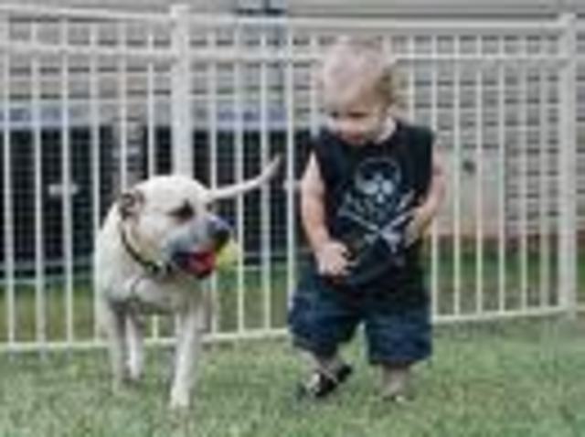 19-21 months intellectual