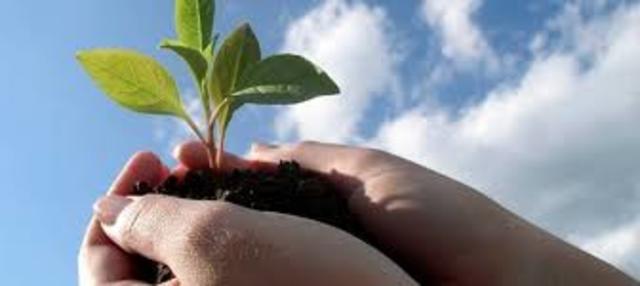 Creacion de concervacion del ambiente