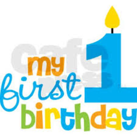 My dogs' first birthday