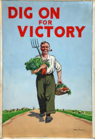 Victory Gardens