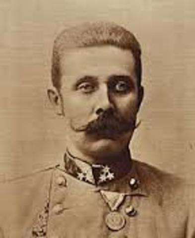 Archduke Assassination and the Great War