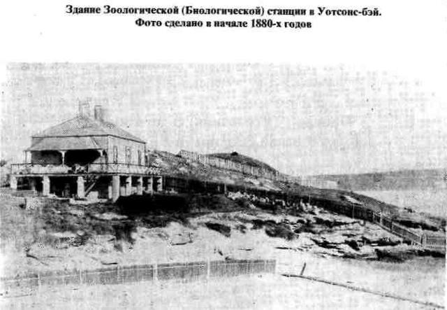 1881 год. «Проект развития Берега Маклая»