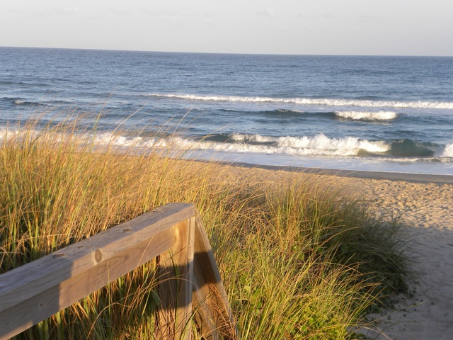 Des colonies en croissance