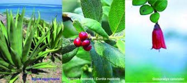 Convención para la protección de plantas.