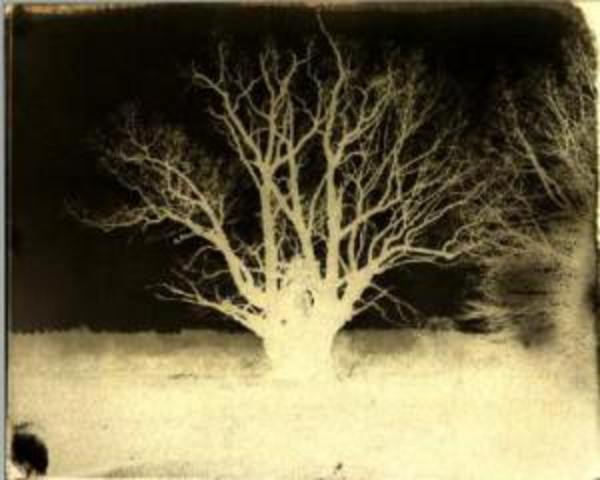 Calotype was invented - William Fox Talbot