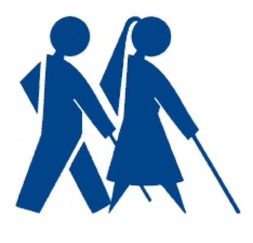 Grupo de Accesibilidad de Plataformas Educativas de la Dirección de Educación de la ONCE