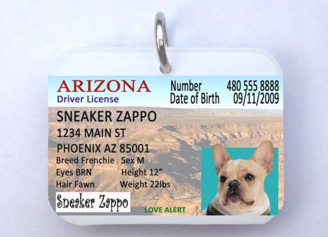 Got my driver's license